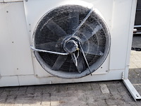 Tino cabero - afbeelding 10 van  10