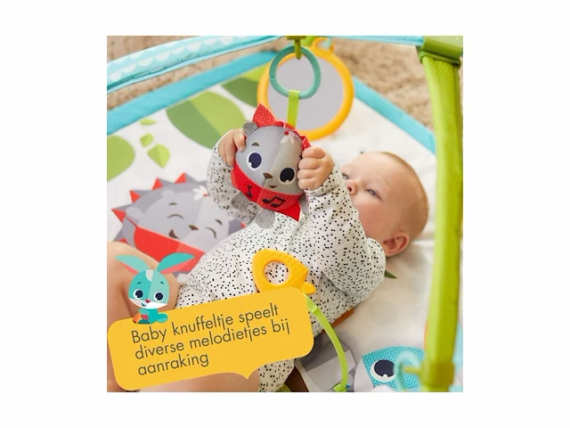 Tiny love babygym gymini sunny days meadow days vanaf de geboorte tot 1 jaar oud - afbeelding 2 van  4