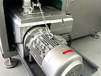 Tippertie alpina - afbeelding 4 van  21