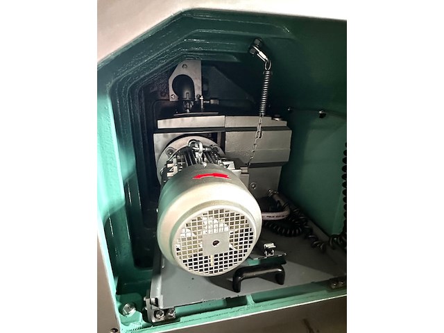 Tippertie alpina - afbeelding 7 van  21