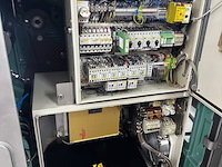 Tippertie alpina - afbeelding 11 van  21