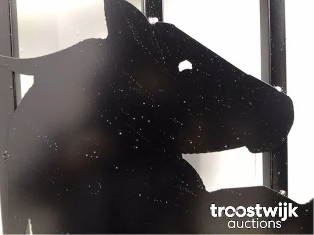 Toegangspoort horse style 16 ft - afbeelding 2 van  13