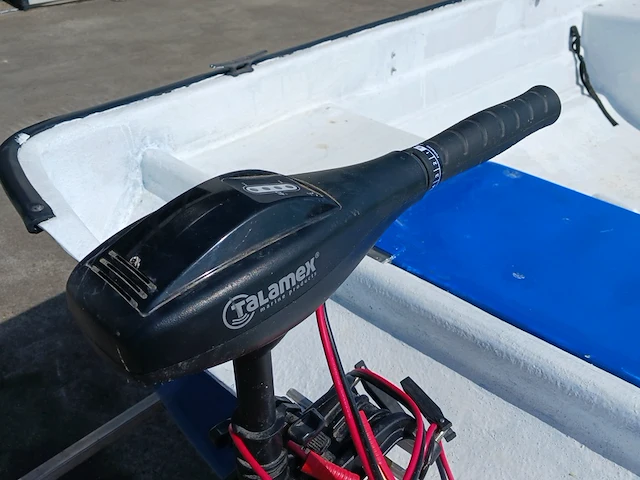 Toer boot met elektrische buitenboordmotor en trailer - afbeelding 18 van  44