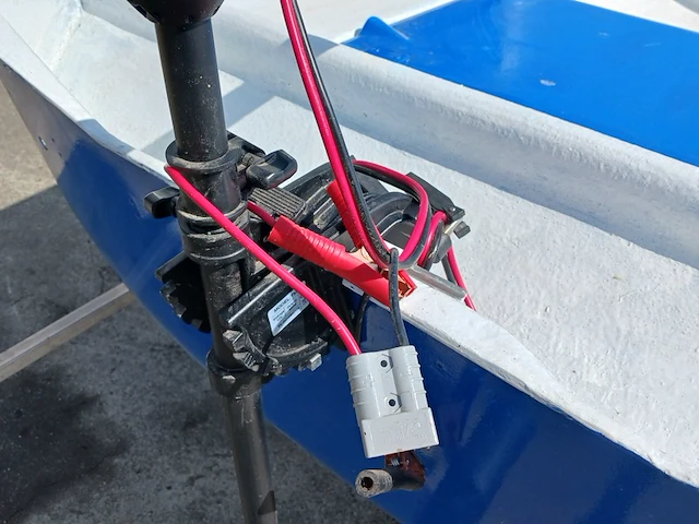 Toer boot met elektrische buitenboordmotor en trailer - afbeelding 21 van  44