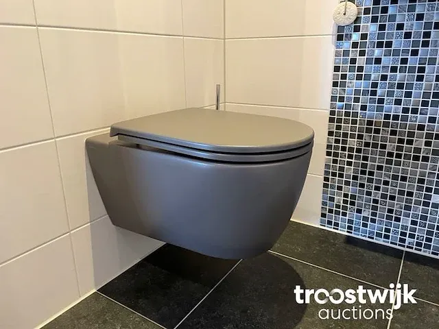 Toilet - afbeelding 1 van  14