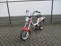 Tomos - snorfiets - youngst'r 2 takt - scooter - afbeelding 5 van  12