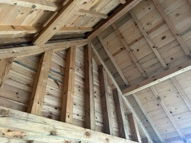 Toonzaalmodel dennen bijgebouw "geert" 9,4x5m - afbeelding 11 van  11