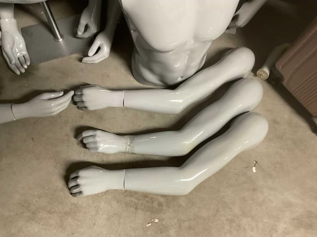 Torso paspop - afbeelding 4 van  7