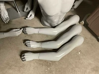 Torso paspop - afbeelding 4 van  7