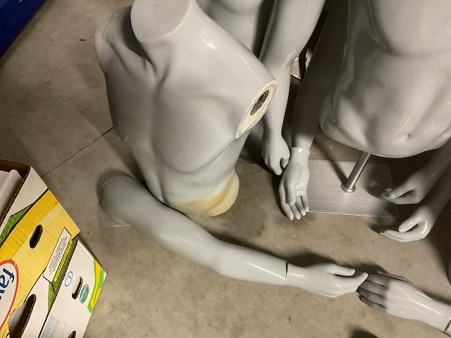 Torso paspop - afbeelding 5 van  7