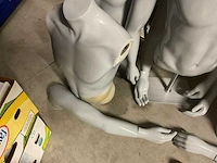 Torso paspop - afbeelding 5 van  7