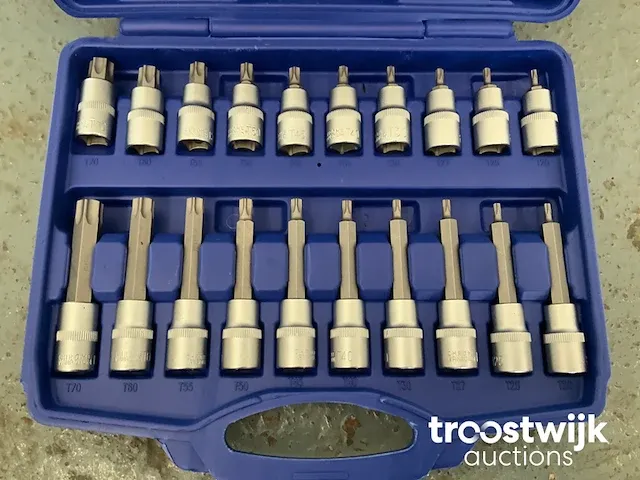 Torx, inbus en spline doppenset - afbeelding 2 van  13