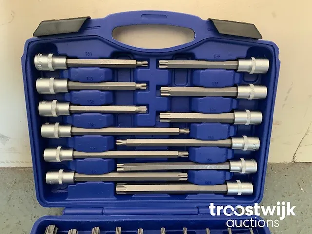 Torx, inbus en spline doppenset - afbeelding 3 van  13
