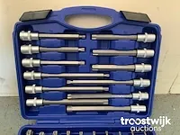 Torx, inbus en spline doppenset - afbeelding 3 van  13