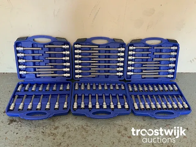 Torx, inbus en spline doppenset - afbeelding 6 van  13