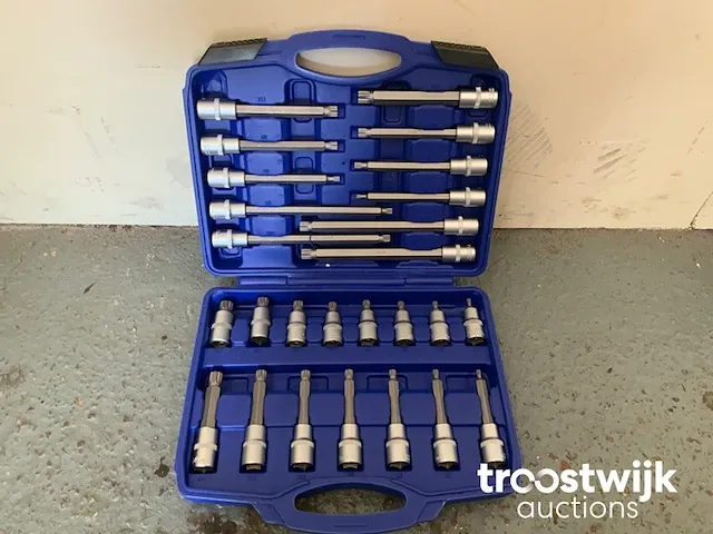 Torx, inbus en spline doppenset - afbeelding 7 van  13