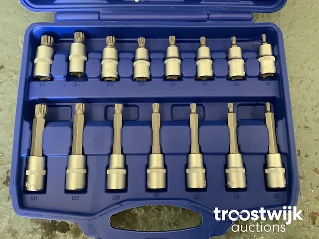 Torx, inbus en spline doppenset - afbeelding 8 van  13