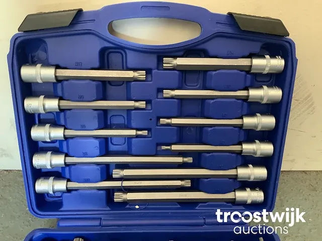 Torx, inbus en spline doppenset - afbeelding 9 van  13