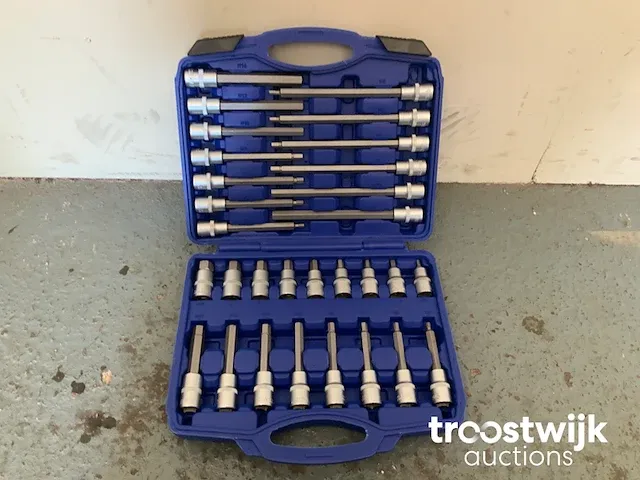 Torx, inbus en spline doppenset - afbeelding 10 van  13