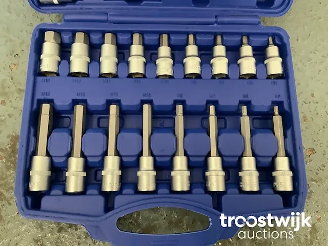 Torx, inbus en spline doppenset - afbeelding 11 van  13