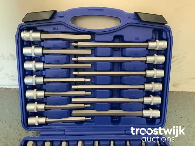 Torx, inbus en spline doppenset - afbeelding 12 van  13