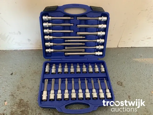 Torx, inbus en spline doppenset - afbeelding 13 van  13