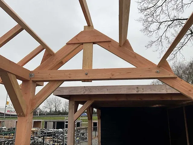 Traditionele douglas kapschuur 1560x460x325 cm - afbeelding 16 van  17