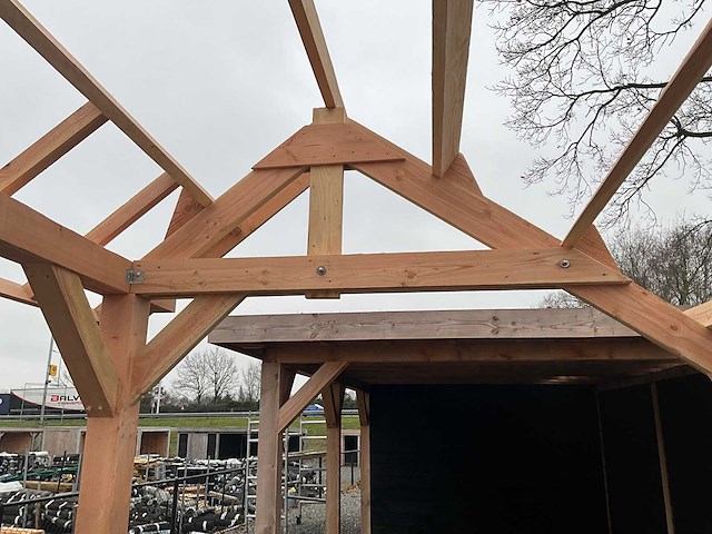 Traditionele douglas kapschuur 560x360x325 cm - afbeelding 9 van  18