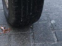 Trailer plus steigeraanhanger - afbeelding 10 van  14