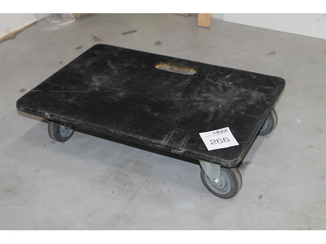 Transporthondje met afmeting 60 x 40 cm. - afbeelding 1 van  1