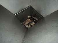 Tremesa, s.a. - afbeelding 7 van  12