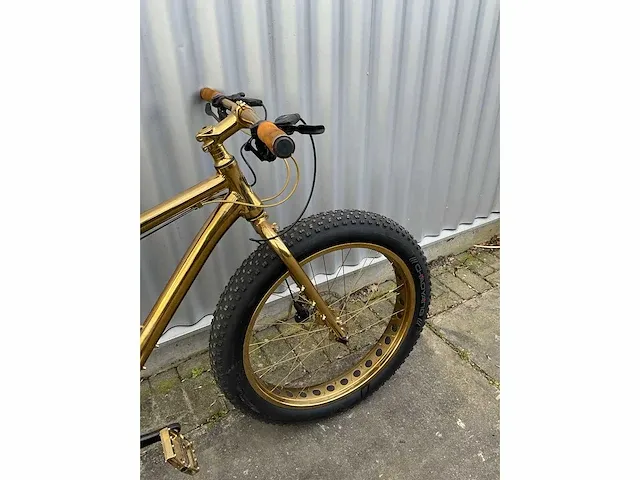 Trident fat bike - afbeelding 11 van  14