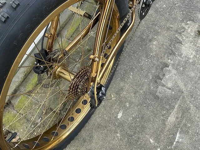 Trident fat bike - afbeelding 12 van  14