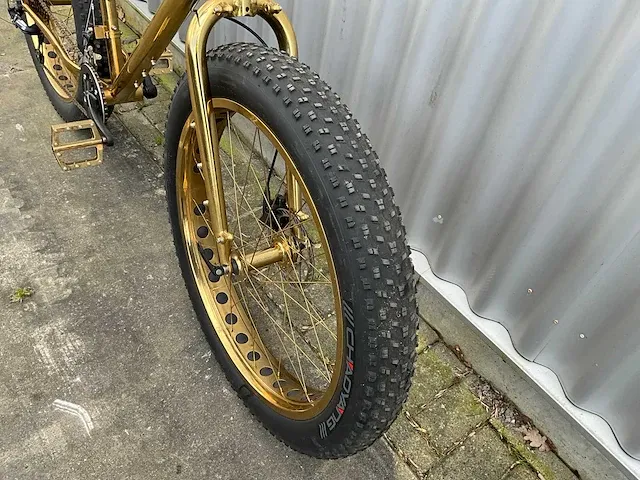 Trident fat bike - afbeelding 13 van  14