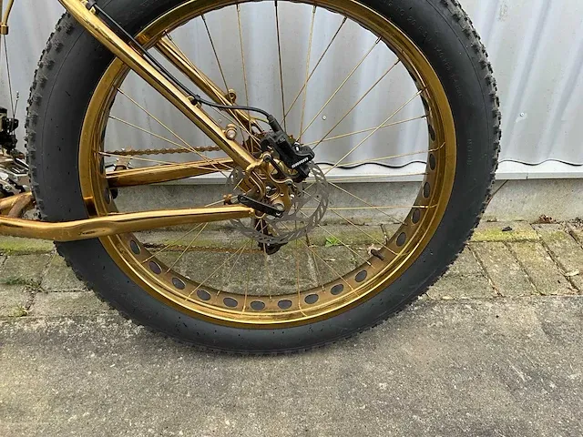 Trident fat bike - afbeelding 14 van  14