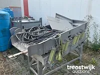 Trilgoot - afbeelding 2 van  6