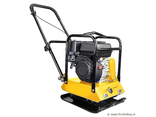 Trilplaat nz 1200 6.5 loncine motor - afbeelding 1 van  1