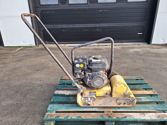 Trilplaat, wacker, 2010 - afbeelding 1 van  7