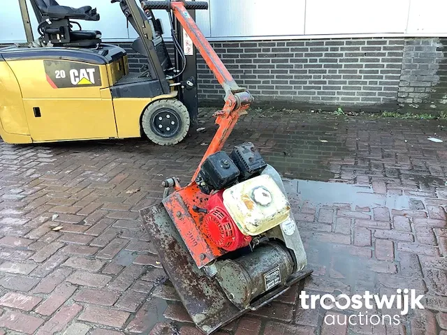Trilplaat - afbeelding 1 van  6