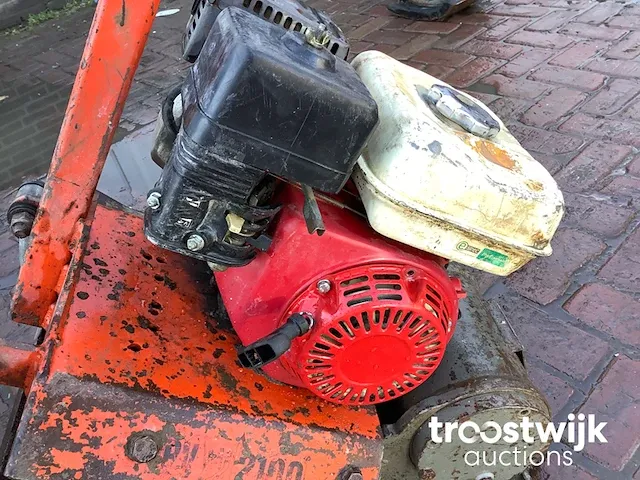 Trilplaat - afbeelding 4 van  6