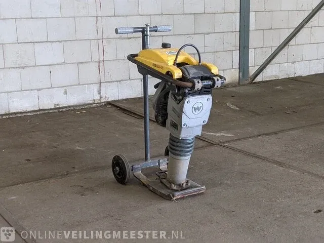 Trilstamper wacker neuson, bs50-2, 2018 - afbeelding 1 van  10