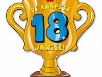 Trofee met lint en tekst knaptse 18 jarige 35 x - afbeelding 3 van  3
