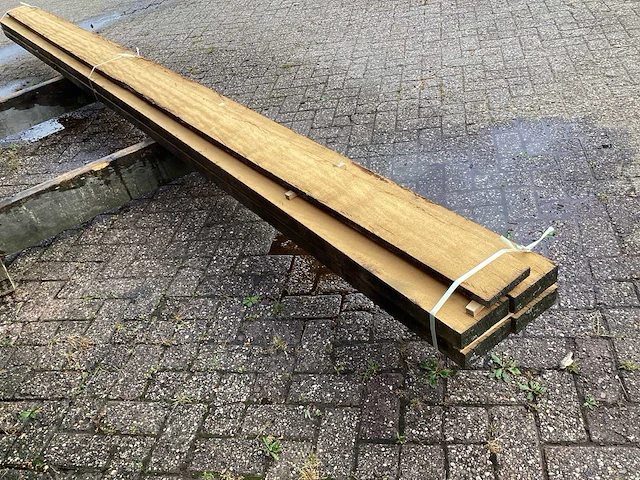 Tropisch hardhout (5x) - afbeelding 5 van  8