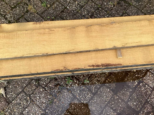 Tropisch hardhout (5x) - afbeelding 6 van  8