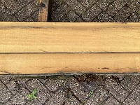 Tropisch hardhout (5x) - afbeelding 7 van  8