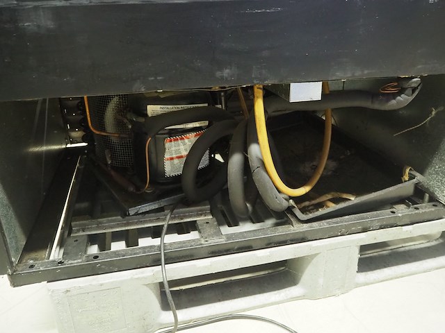 True - afbeelding 6 van  7