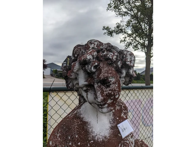 Tuinbeeld man met leeuw - afbeelding 5 van  9