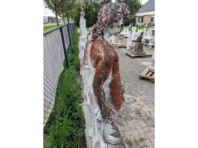 Tuinbeeld man met leeuw - afbeelding 9 van  9