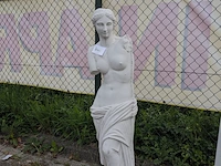 Tuinbeeld venus - afbeelding 2 van  9