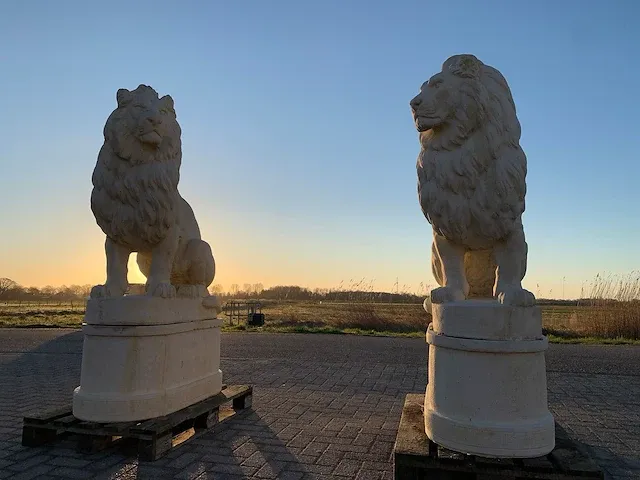Tuinbeeld - afbeelding 3 van  5